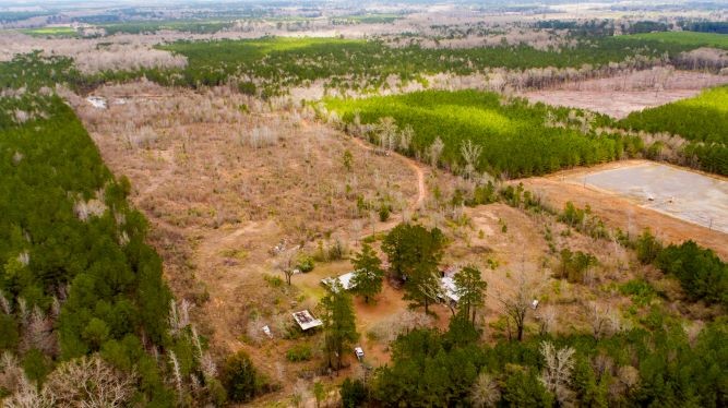 390 Mount Zion Cemetary Rd, Coushatta, LA à vendre - Autre - Image 1 de 1