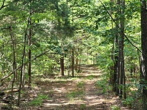 138 Vaughn Rd, Charlotte, TN - Aérien  Vue de la carte - Image1