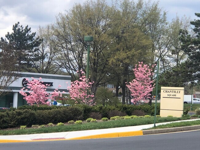 More details for 4500 Daly Dr, Chantilly, VA - Office for Lease