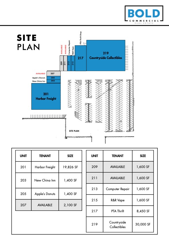 Plus de détails pour 245 Chatham Sq, Siler City, NC - Commerce de détail à louer