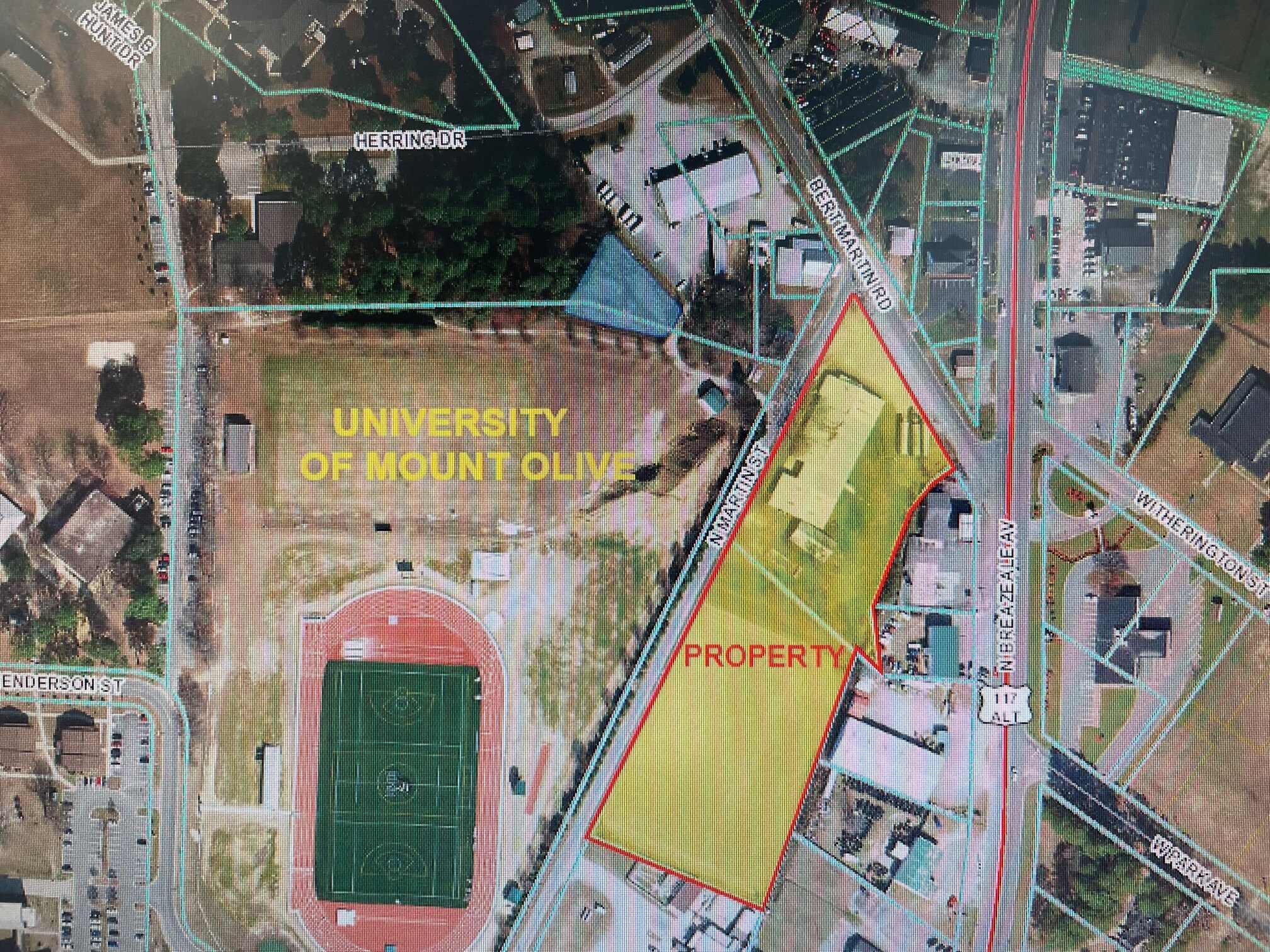 Bert Martin Rd and North Martin St, Mount Olive, NC for sale Building Photo- Image 1 of 2