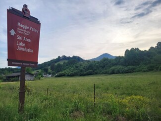 Plus de détails pour 5351 Jonathan Creek, Waynesville, NC - Terrain à vendre