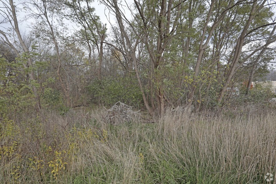 00 Hall Rd, Macomb Township, MI à vendre - Photo principale - Image 1 de 2