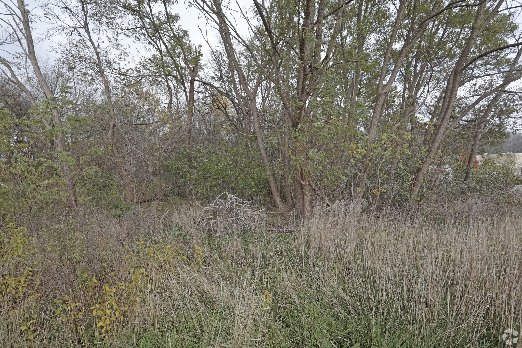 00 Hall Rd, Macomb Township, MI à vendre Photo principale- Image 1 de 3