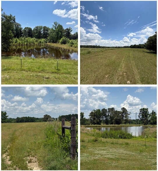 1657 Hamm Rd, Blountsville, AL à vendre - Autre - Image 3 de 5