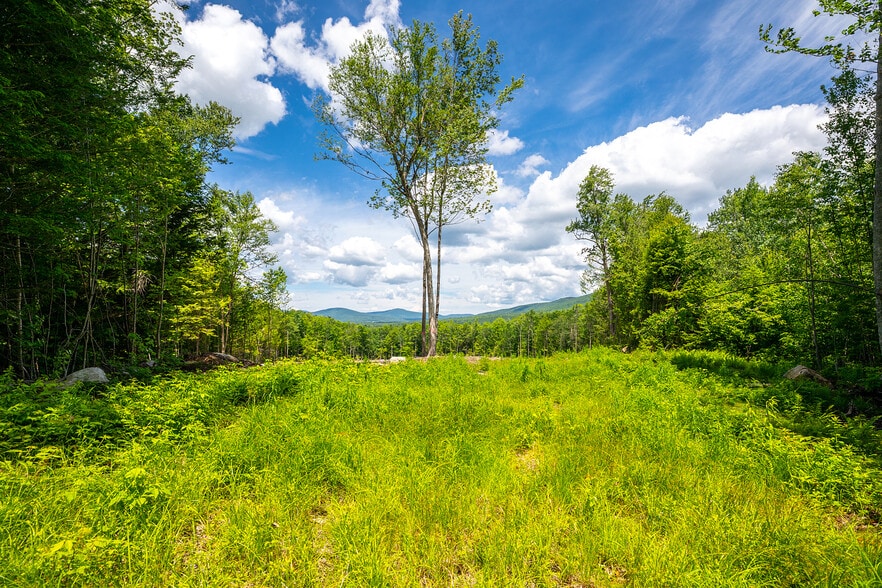 0 Little Pond Road, Andover, VT for sale - Other - Image 2 of 11