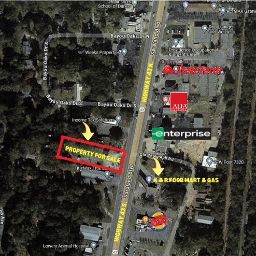 Plus de détails pour 319 Saraland Blvd N, Saraland, AL - Commerce de détail à vendre
