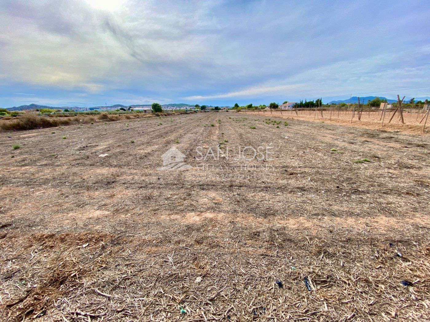 Terrain dans Aspe, Alicante à vendre Plan de site- Image 1 de 6