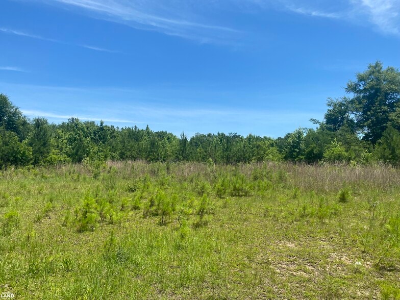 000 Mizell Road, Tuskegee, AL for sale - Other - Image 2 of 9