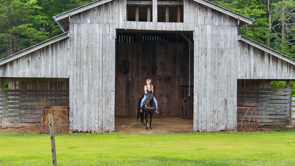 102 Cross Creek Ln, Warne, NC à vendre - Photo du bâtiment - Image 3 de 33