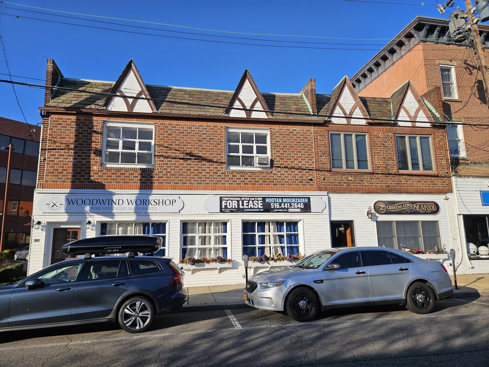 111-113 S Tyson Ave, Floral Park, NY à louer Photo du bâtiment- Image 1 de 22