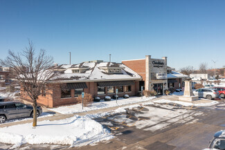 More details for 105 Remington Blvd, Bolingbrook, IL - Retail for Lease