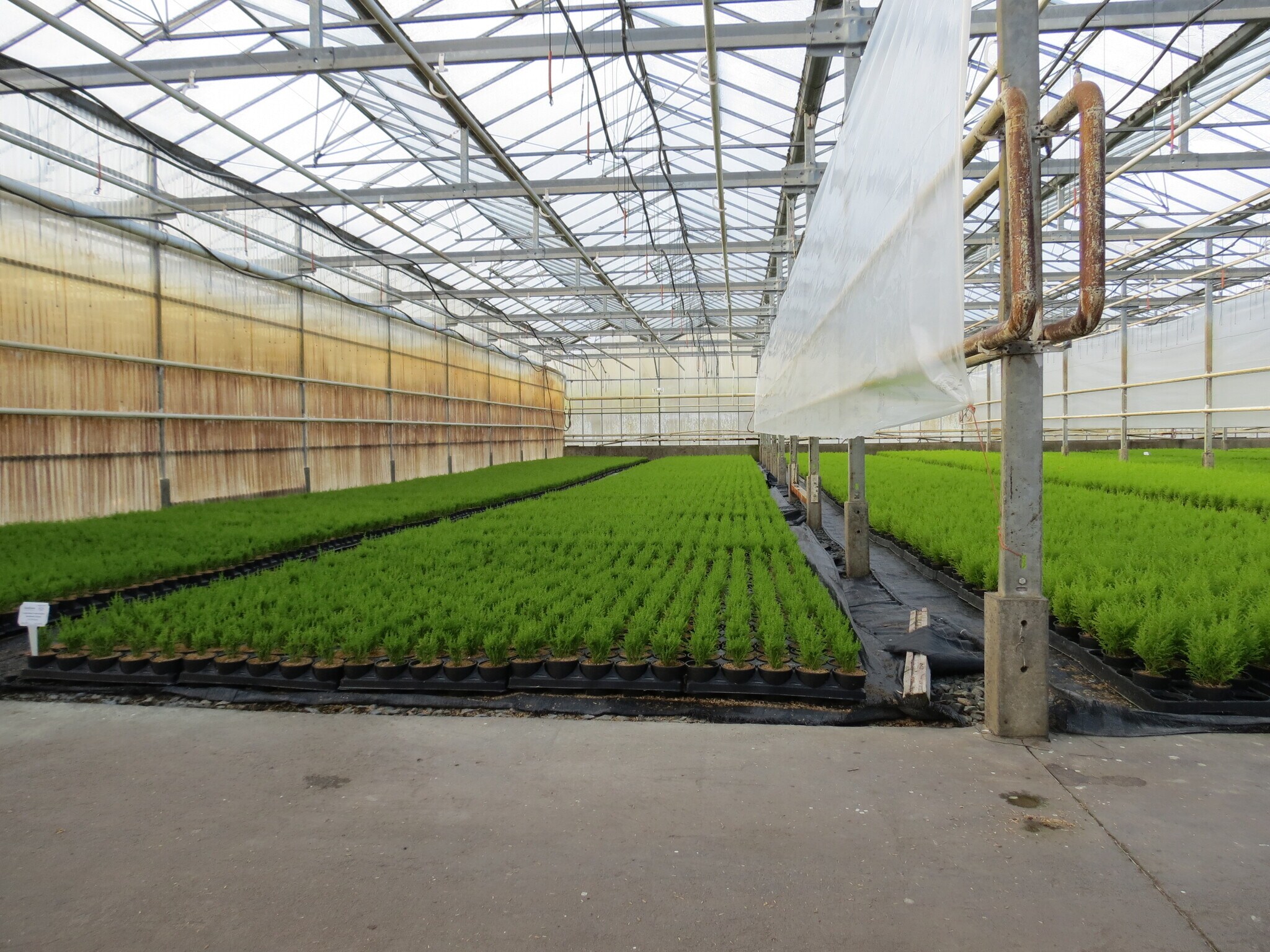 50284 Yale, Chilliwack, BC à vendre Photo du bâtiment- Image 1 de 13