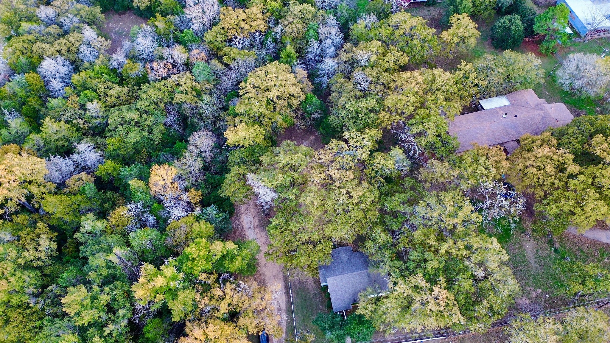 9278 N Highway 77, Lexington, TX for sale Primary Photo- Image 1 of 19