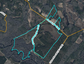 Farr Rd. & River Vista Dr., Cope, SC - aerial  map view