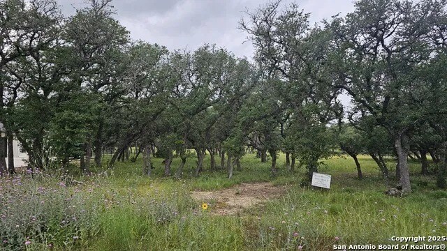 874 Maximino Ridge Rd, Bulverde, TX à vendre - Autre - Image 3 de 11