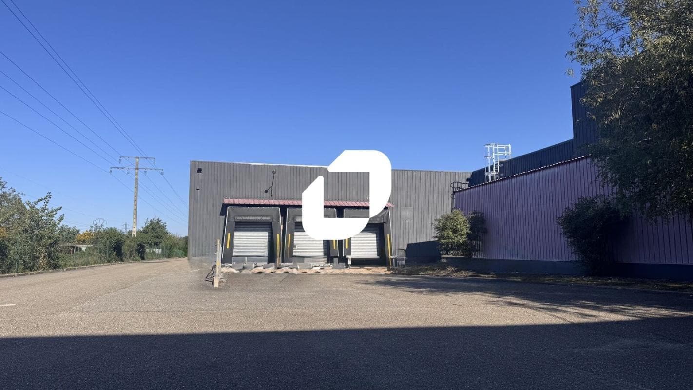 Flex in Illkirch-Graffenstaden for lease Building Photo- Image 1 of 13