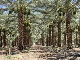 Plus de détails pour Airport Blvd, Thermal, CA - Terrain à vendre