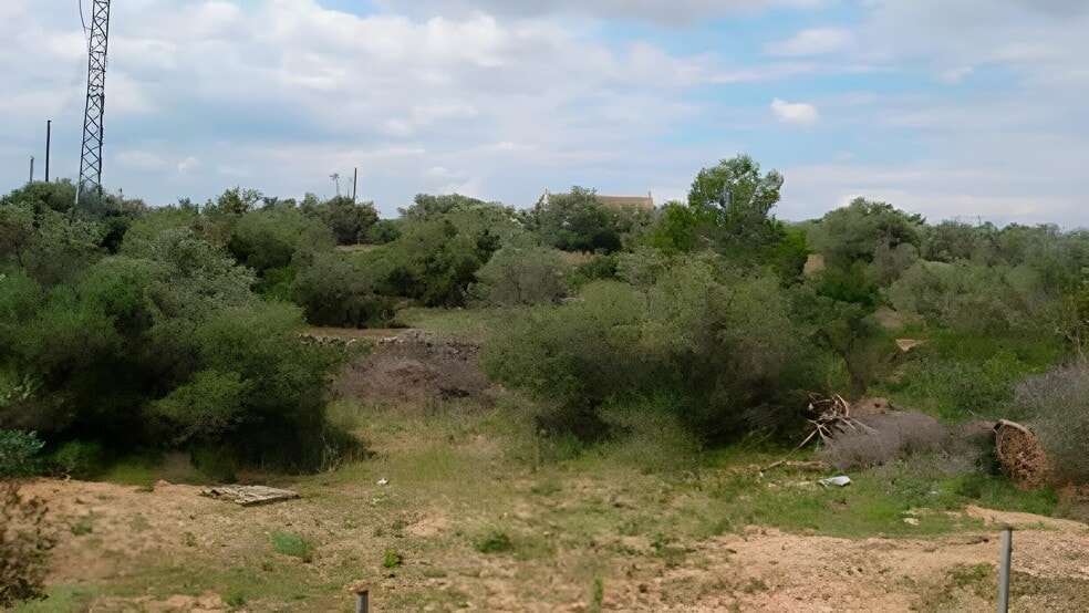 Carrer del Polígono 81, 88, L'Ampolla, Tarragona for sale - Other - Image 2 of 4