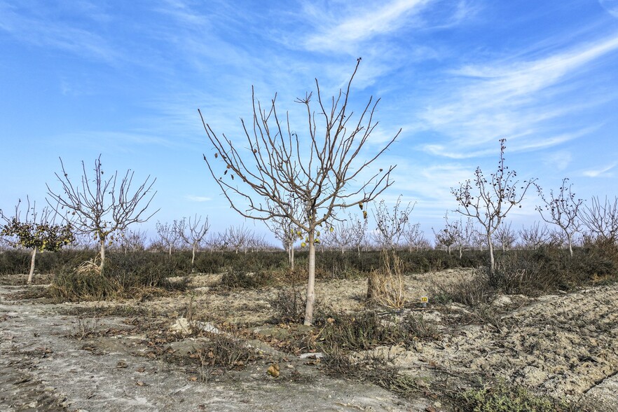 7455 W Lincoln Ave, Fresno, CA for sale - Building Photo - Image 3 of 12