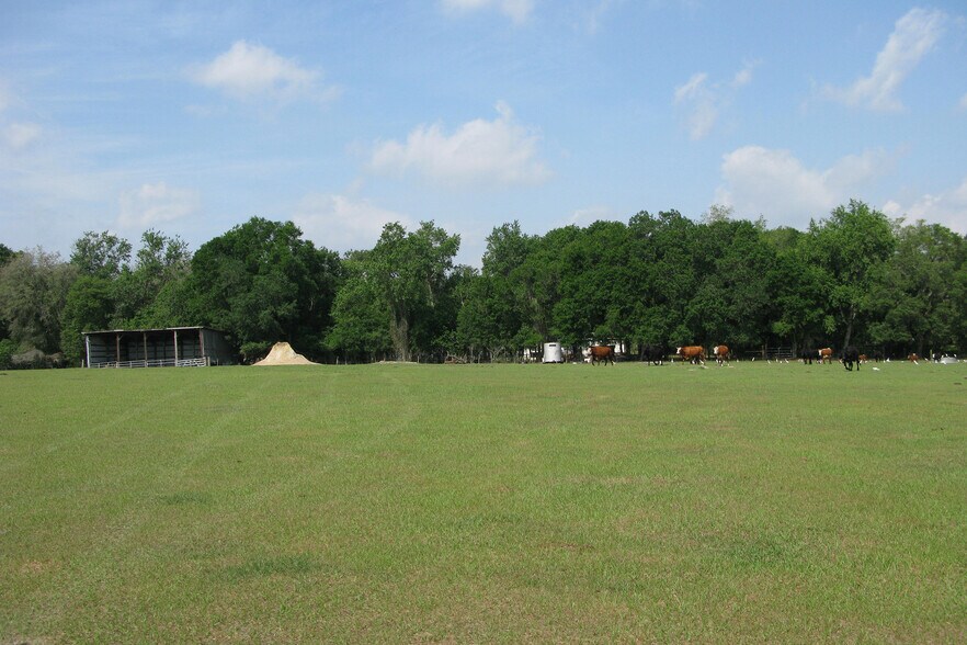Old Lakeland Hwy, Dade City, FL for sale - Other - Image 2 of 4