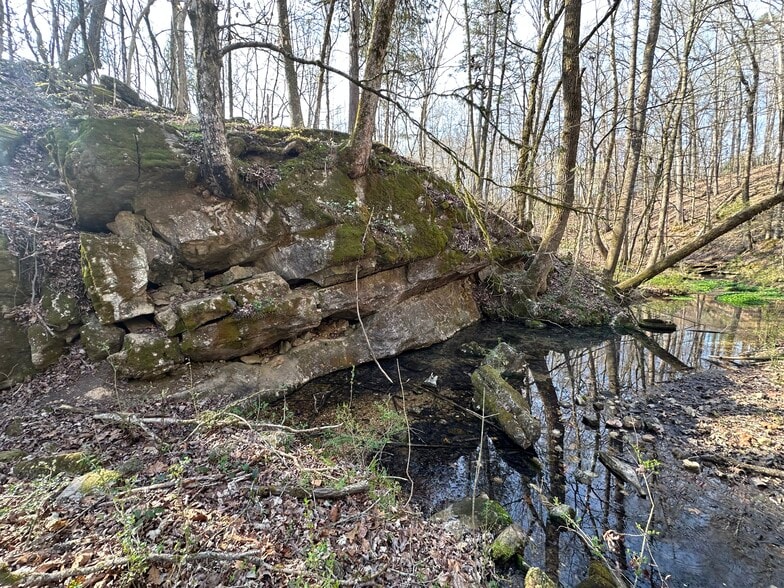 7312 Highway 60, Georgetown, TN for sale - Other - Image 1 of 121