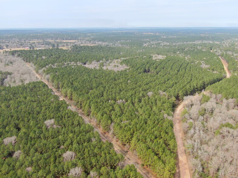 565 Dodge Oakhurst Rd, Huntsville, TX à vendre - Photo du bâtiment - Image 3 de 4