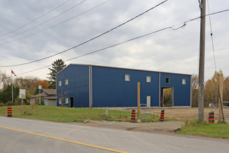 Plus de détails pour 23 Princess St, Mount Albert, ON - Industriel à louer