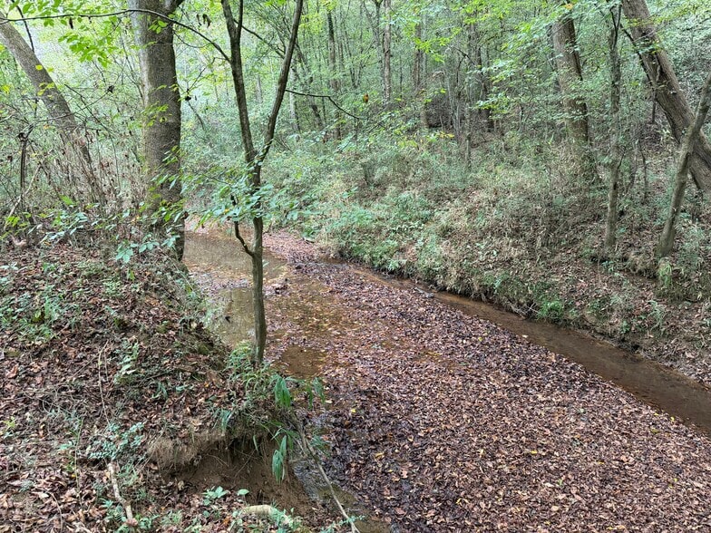 0 County Road 60, Heflin, AL for sale - Building Photo - Image 3 of 17