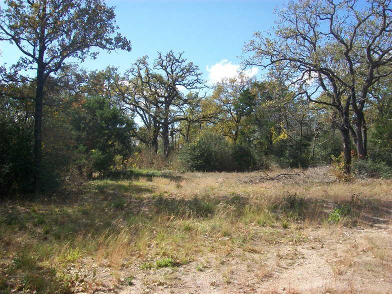 Burleson Manor Rd, Manor, TX à vendre - Autre - Image 1 de 1