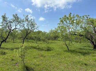 Plus de détails pour tbd 00 NW C R 4160, Frost, TX - Terrain à vendre