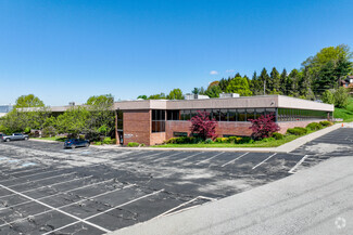 More details for 101 Kappa Dr, Pittsburgh, PA - Flex for Lease