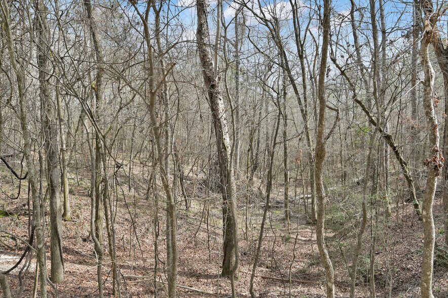 0 Hwy 190, Oakhurst, TX à vendre - Photo principale - Image 1 de 15