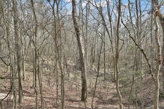 Plus de détails pour 0 Hwy 190, Oakhurst, TX - Terrain à vendre