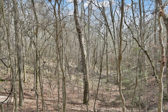 More details for 0 Hwy 190, Oakhurst, TX - Land for Sale