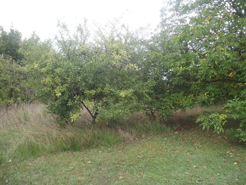 Land in Chavanges for sale - Building Photo - Image 2 of 2