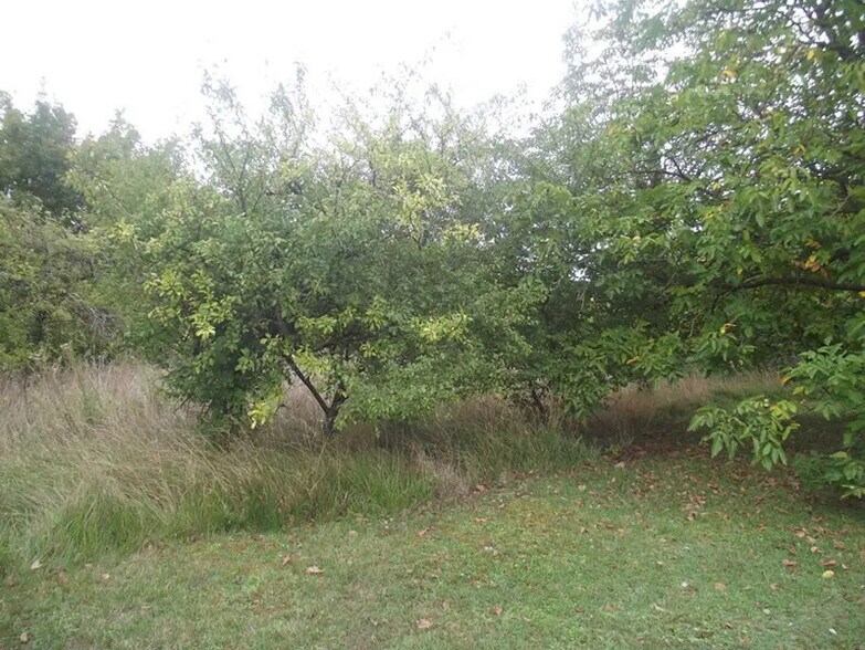 Terrain dans Chavanges à vendre - Photo du bâtiment - Image 2 de 2