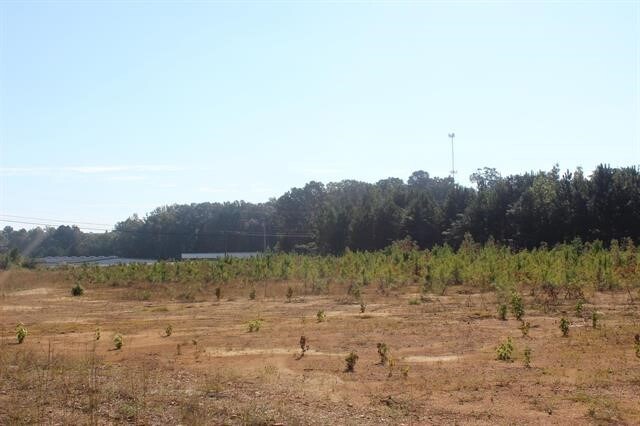 8861 U S Highway 31, Hanceville, AL for sale - Other - Image 1 of 1