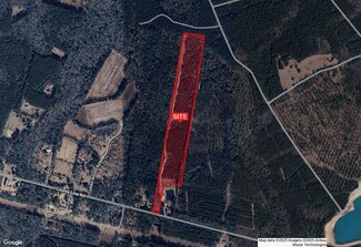 Plus de détails pour 5650 County Line Rd, Ravenel, SC - Terrain à vendre