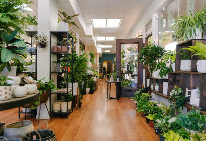 701 Front St, Santa Cruz, CA for lease - Interior Photo - Image 3 of 9