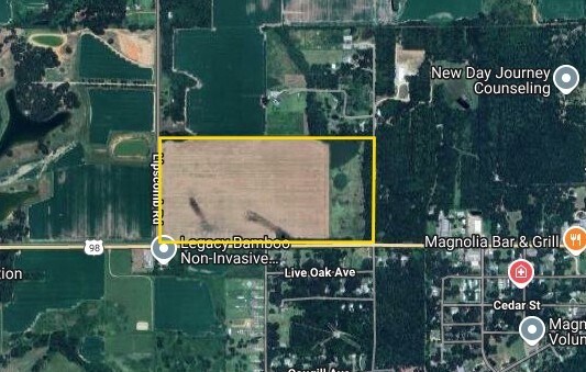 14251 US 98 hwy, Magnolia Springs, AL à vendre Photo principale- Image 1 de 1