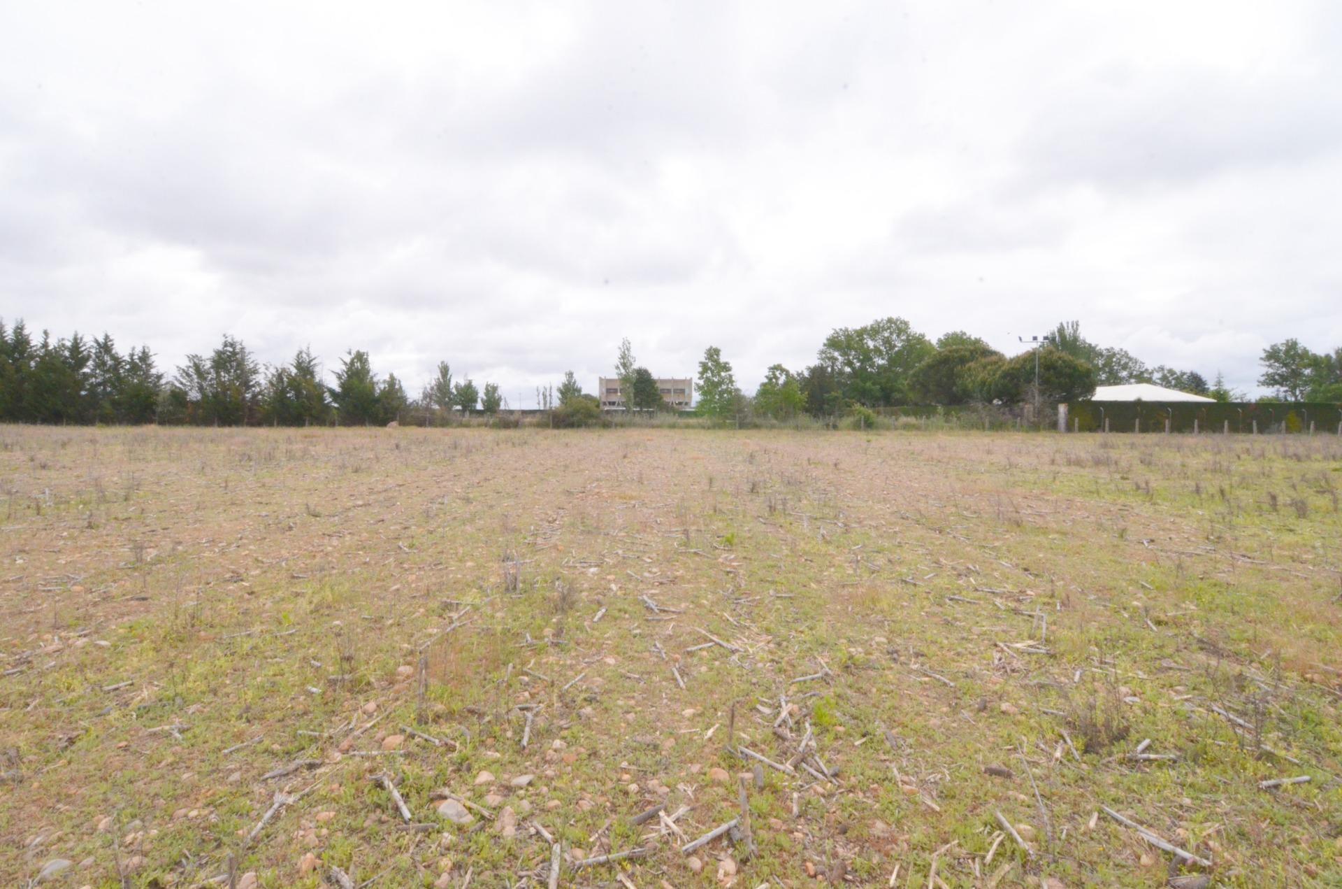 Land in Pelabravo, Salamanca for lease Primary Photo- Image 1 of 14