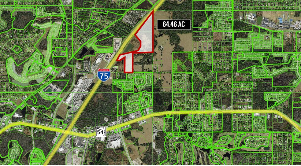 28651 Tupper Rd, Wesley Chapel, FL à vendre - Photo du bâtiment - Image 3 de 6