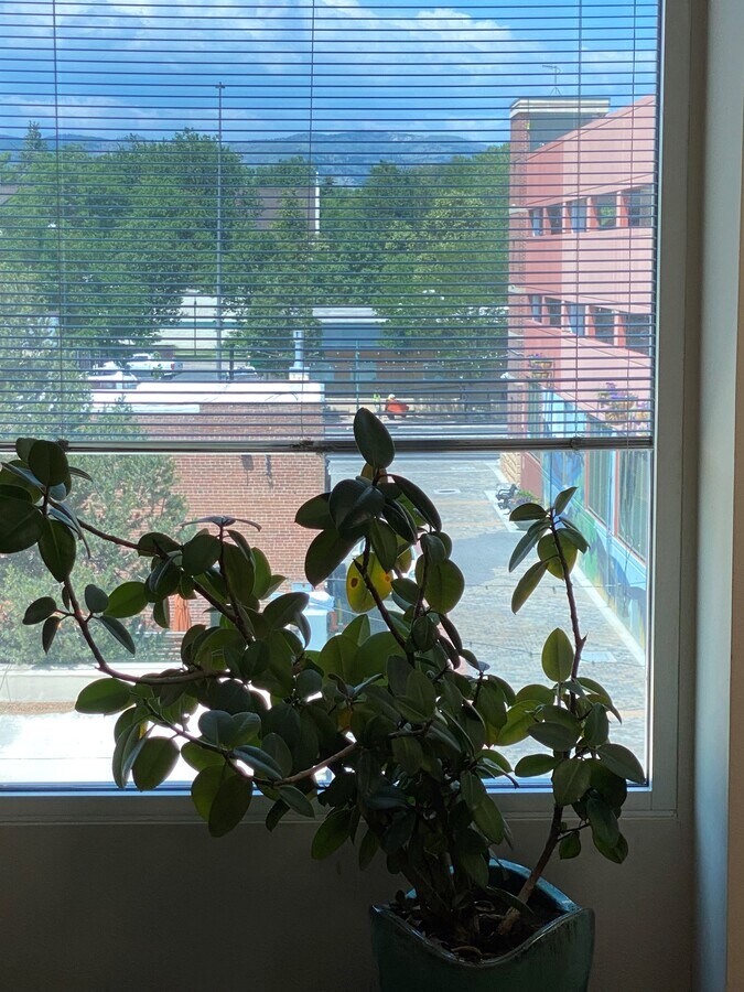 123-147 N College Ave, Fort Collins, CO 80524 - Unité 330 -  - Photo intérieure - Image 1 of 4