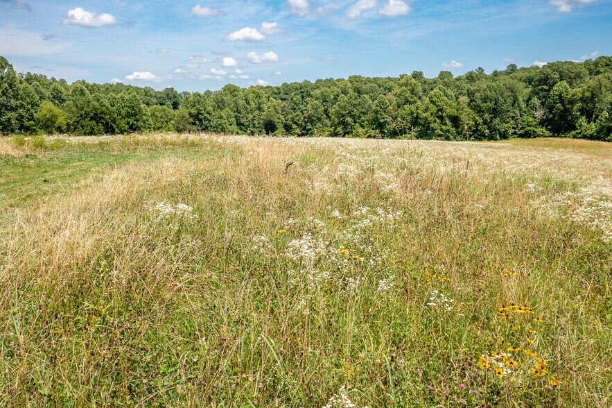 11697 Spotswood Trl, Stanardsville, VA à vendre - Photo du bâtiment - Image 3 de 73