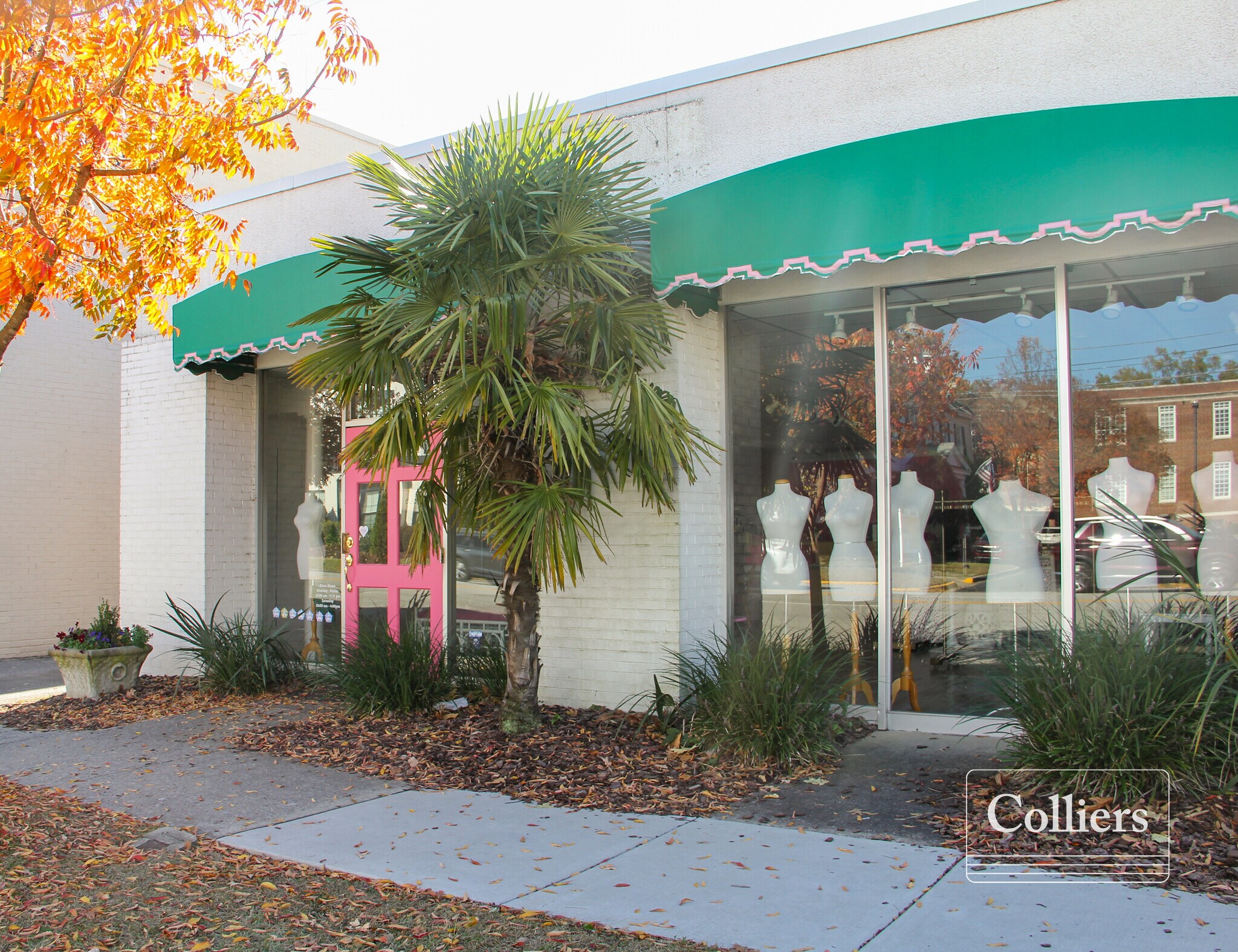 2728 Devine St, Columbia, SC for lease Primary Photo- Image 1 of 4