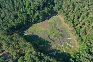 More details for Jones Spring Church Road, Ellerbe, NC - Land for Sale