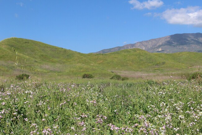 Plus de détails pour 0 Dickenson Rd, Santa Paula, CA - Terrain à vendre