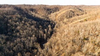 Plus de détails pour 0 Bull Run Rd, Ashland City, TN - Terrain à vendre