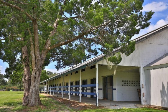12219 SW 26th St, Ocala, FL à vendre - Photo du bâtiment - Image 2 de 11